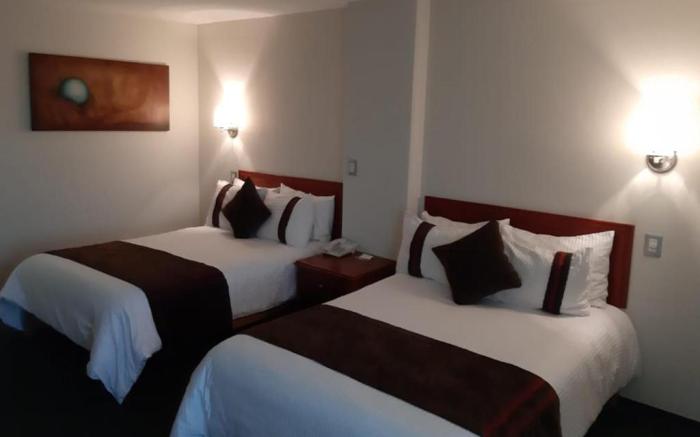 Hotel Mision Leon