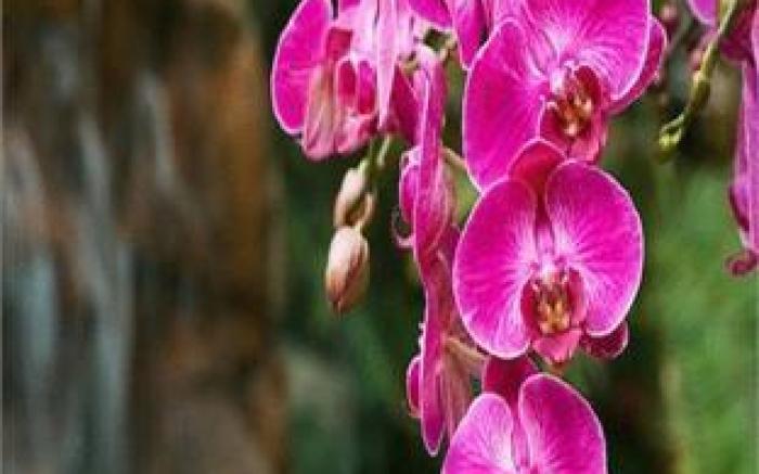 Marina 10 Design Hotel & SPA