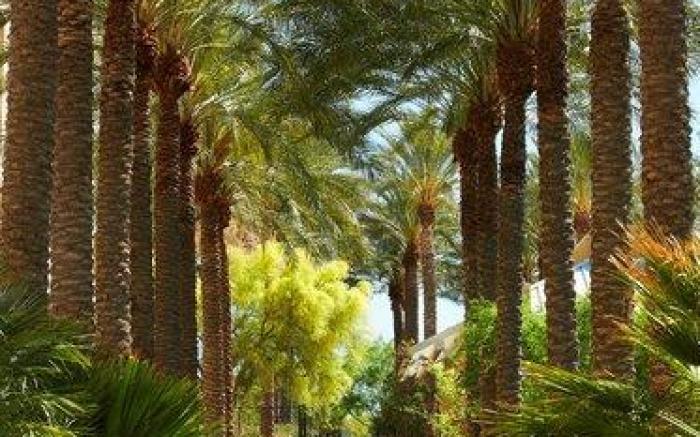 JW Marriott Phoenix Desert Ridge Resort & Spa