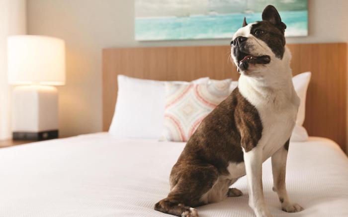 Hyatt House Virginia Beach