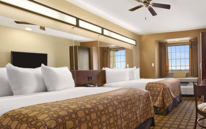 Microtel Inn & Suites by Wyndham Buda Austin South