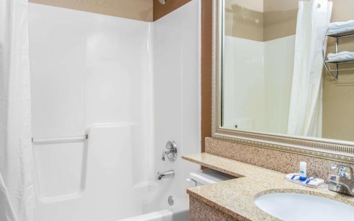 Microtel Inn & Suites by Wyndham Lincoln