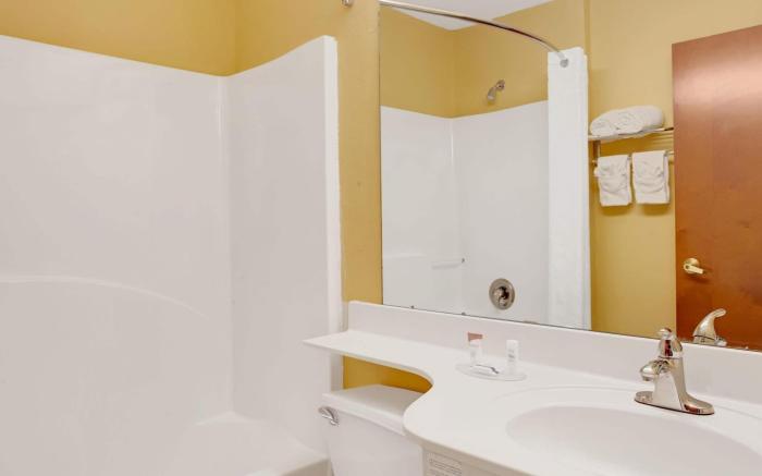 Microtel Inn & Suites by Wyndham Stockbridge/Atlanta I-75