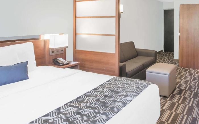Microtel Inn & Suites by Wyndham Binghamton