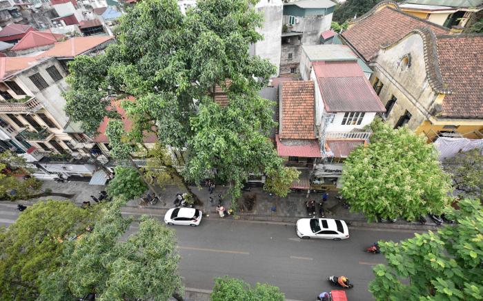 Ha Noi Group Nest Hostel