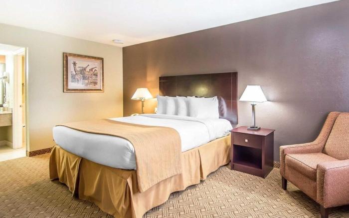 Quality Inn & Suites By the Parks