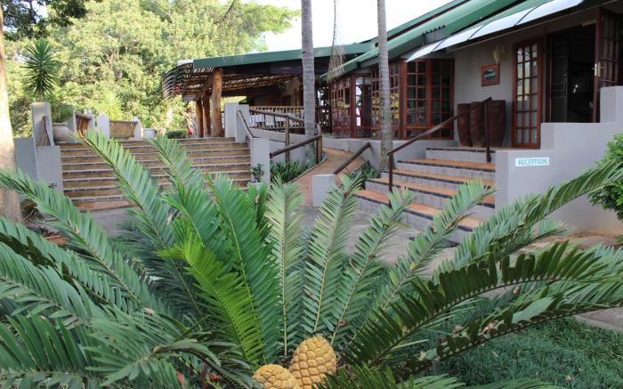 Chestnut Country Lodge