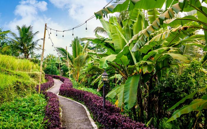 Bubble Hotel Bali Ubud (Adults Only)