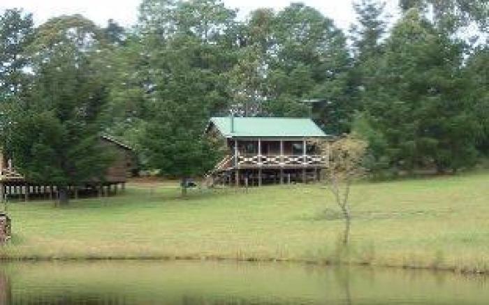 Madison's Mountain Retreat