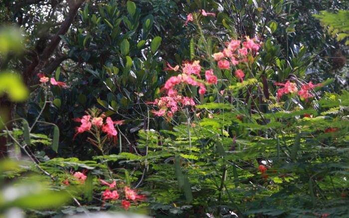 Mekong Rustic Can Tho