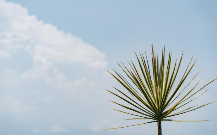 Batu Karang Lembongan Resort & Spa