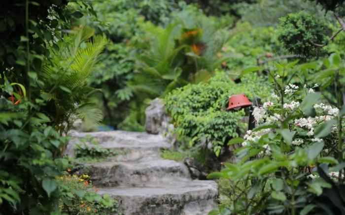 Tam Coc Lion Kings Hotel