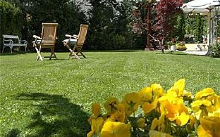 Dominik Alpine City Wellness Hotel - Adults only