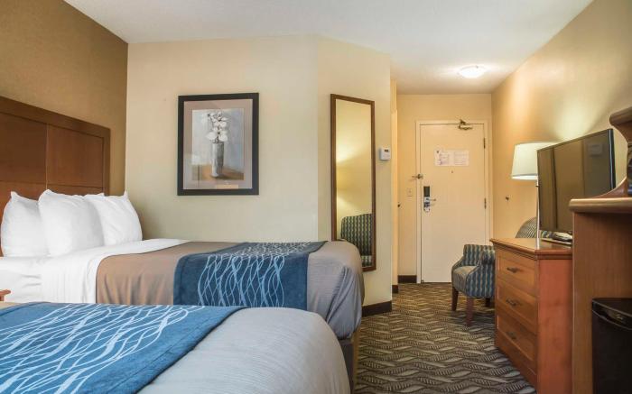 Comfort Inn & Suites Ambassador Bridge