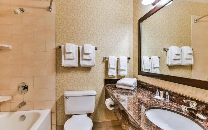 Comfort Inn & Suites Ambassador Bridge