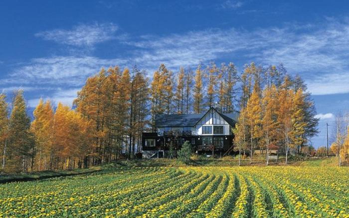 Adagio Hokkaido