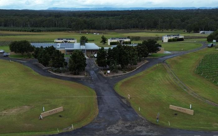 Adina Vineyard Accommodation