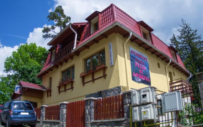 Vila Sinaia Felix