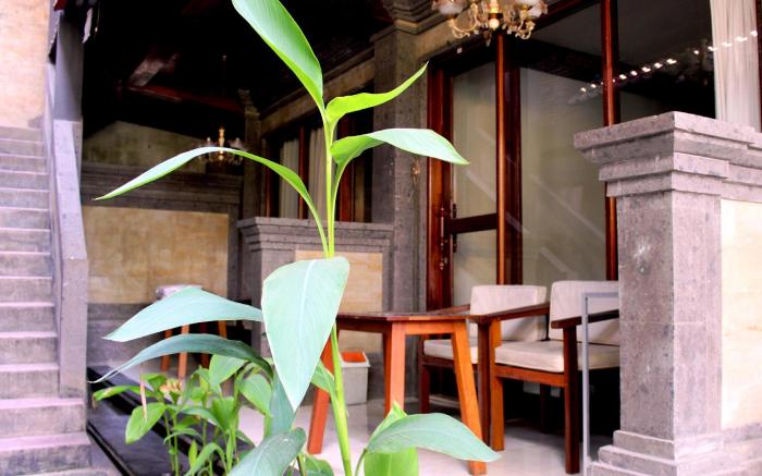 Dewa Bungalows