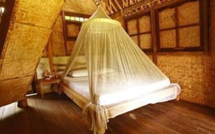 Flower Bud Bungalow
