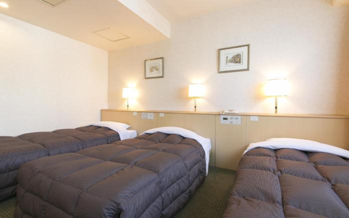 Hida Takayama Washington Hotel Plaza