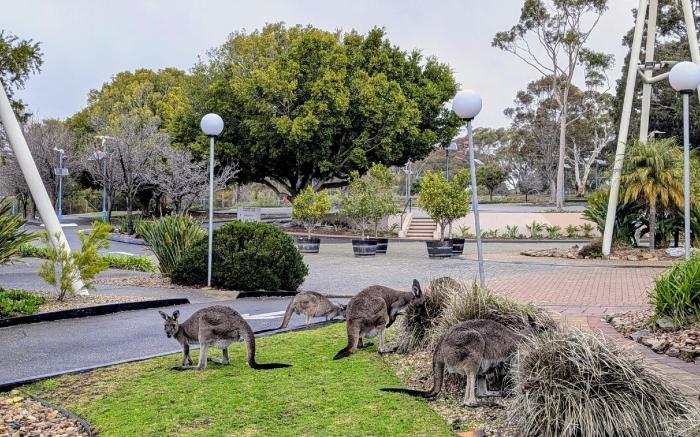 BreakFree Wirrina Cove