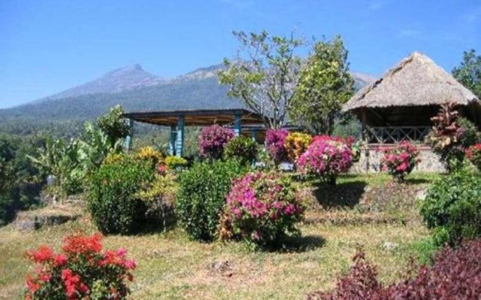 Pondok Senaru Lombok