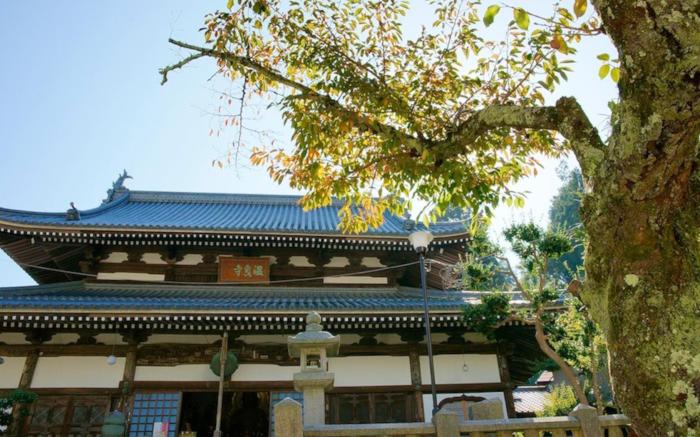 Hotel Hanakoyado