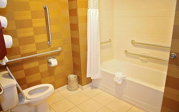 Hampton Inn Detroit/Auburn Hills-North (Great Lakes Crossing Area)