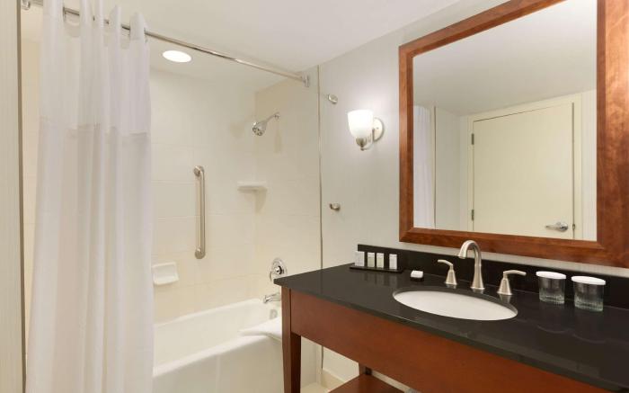 Embassy Suites by Hilton Boston Waltham