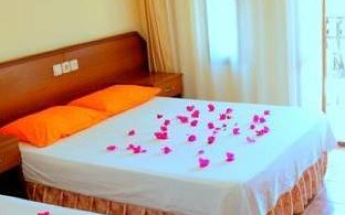Magic Tulip Hotel