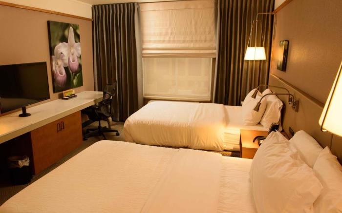 Hilton Garden Inn Rochester Downtown