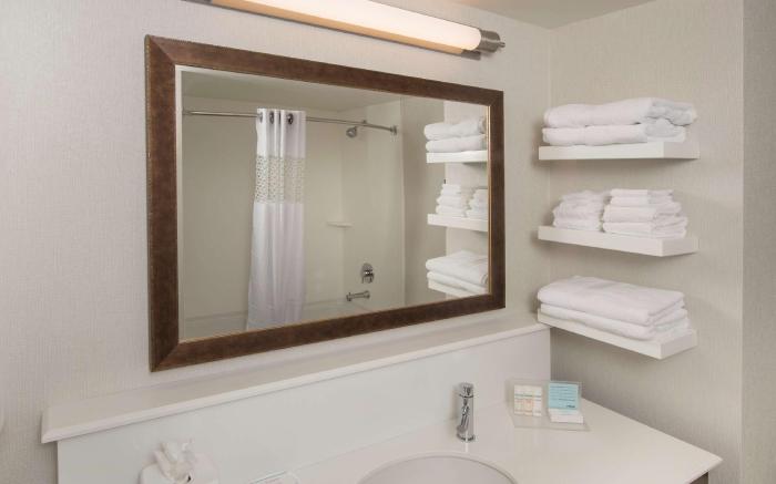 Hampton Inn and Suites Braselton