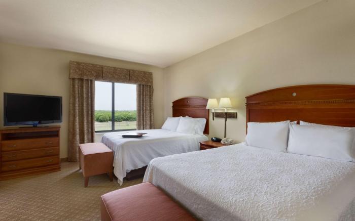 Hampton Inn Pharr