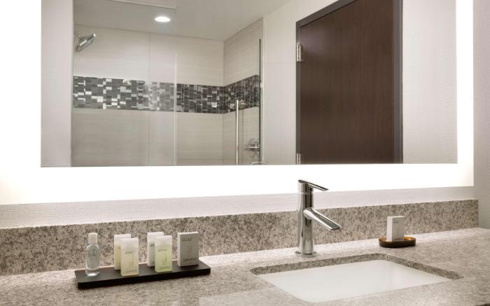 Embassy Suites by Hilton Atlanta NE - Gwinnett Sugarloaf