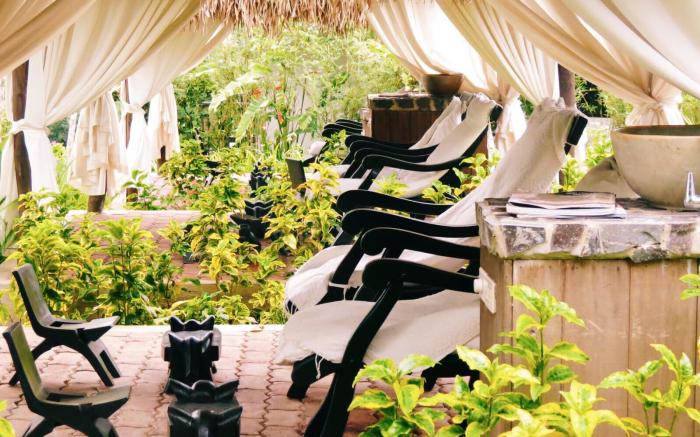 Nurture Wellness Village