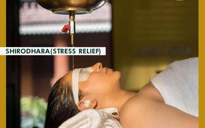 Sarth Ayurveda Retreat & Wellness Centre