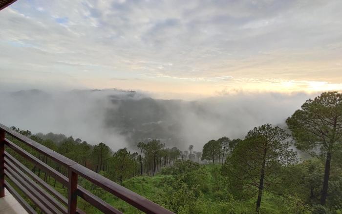 LEELA The Flavors of Nature