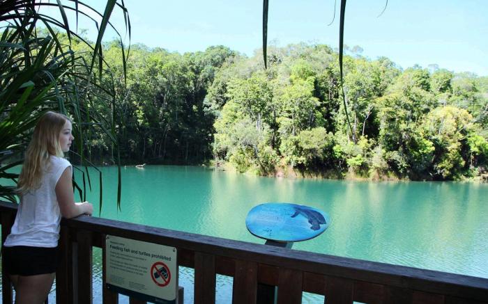 Chambers Wildlife Rainforest Lodges