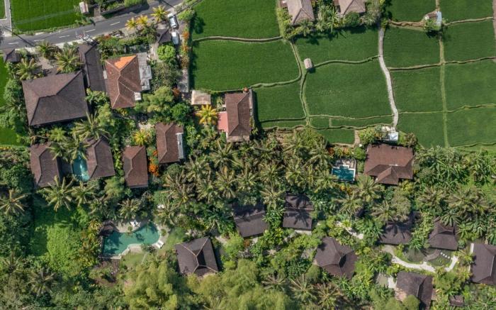 Korurua Dijiwa Ubud