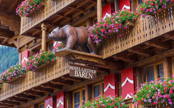 Hotel Baeren
