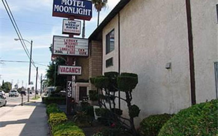 Motel Moonlight