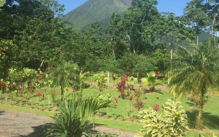Arenal History Inn