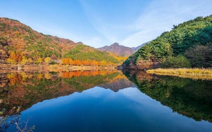 Pocheon Sanwoolteo Pet Friendly Pension
