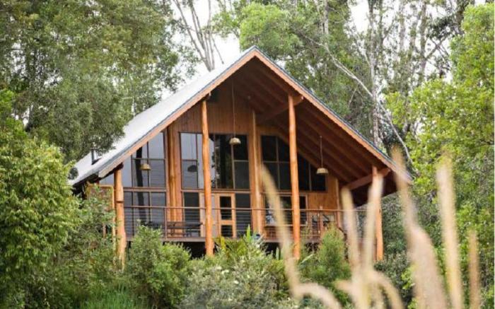 The Canopy Rainforest Treehouses