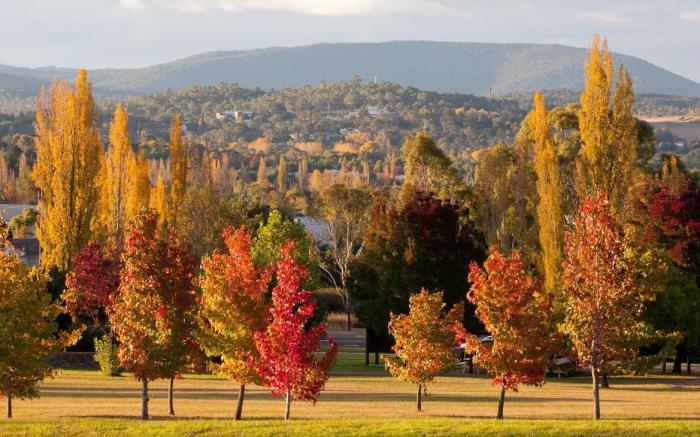 Petersons Armidale Winery & Guesthouse