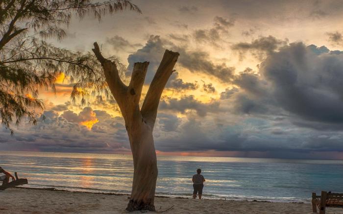 Golden Clove Beach Resort & Spa