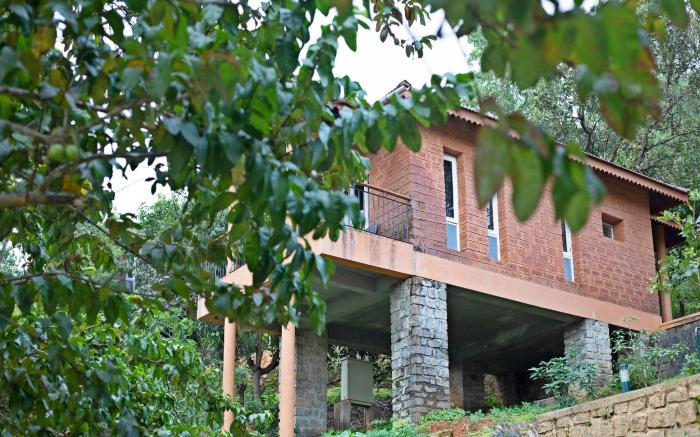 Sharavathi Adventure Camp -Jungle lodges