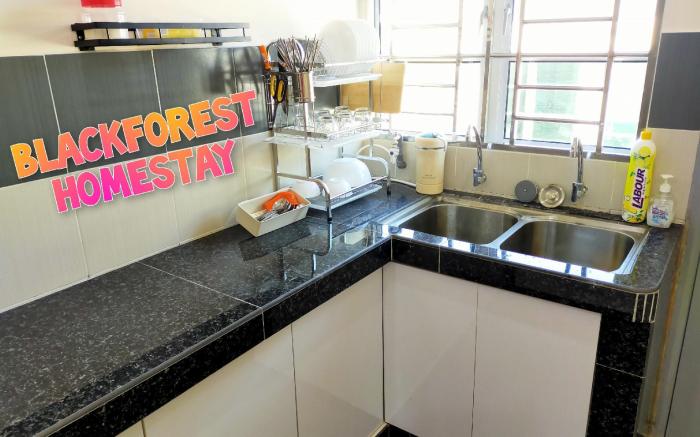 HOMESTAY JASIN BLACKFOREST - LIPAT KAJANG
