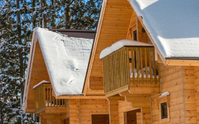 WADANO WOODS by Hakuba Hospitality Group
